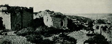 Château de Saône. La basse-cour et chapelle byzantine