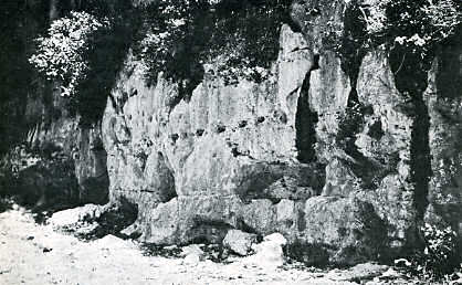 Château de Saône. Le fossé et les abreuvoirs.
