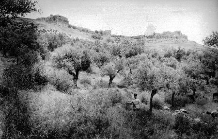 Château de Subeibe (Banias)