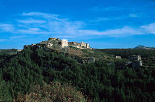 Saône Sahyun, Qal'at Salah ad-Dîn