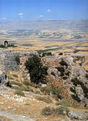 Châteaux d'Orient Jean Mesqui